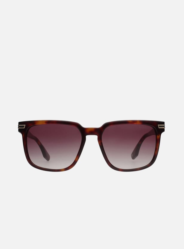 TOMMY HILFIGER UV Protected Square Sunglasses - TH2677C3HAVGDBR34S