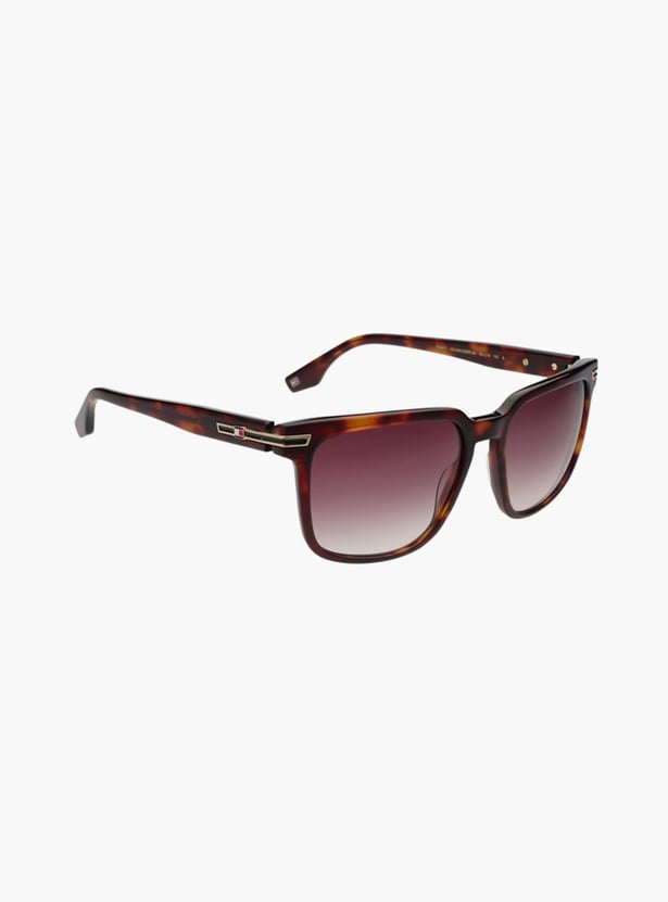 TOMMY HILFIGER UV Protected Square Sunglasses - TH2677C3HAVGDBR34S