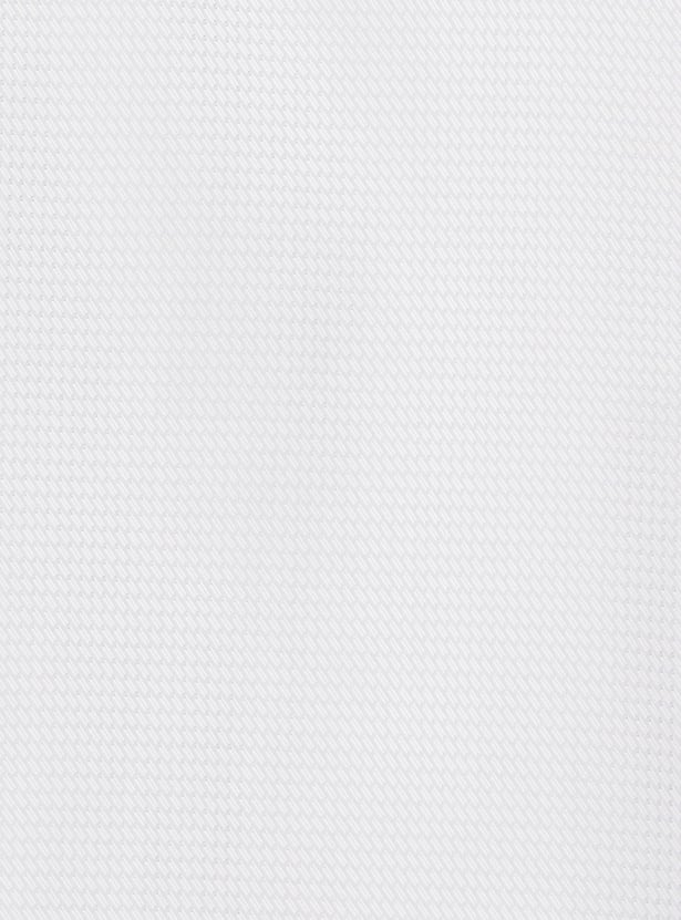 PARK AVENUE Textured Regular Fit Formal Shirt