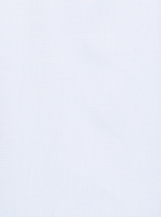 PARK AVENUE Textured Regular Formal Shirt