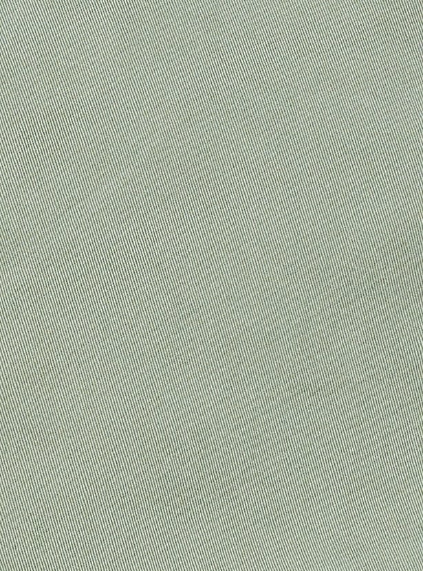 US POLO ASSN Solid Slim Shorts