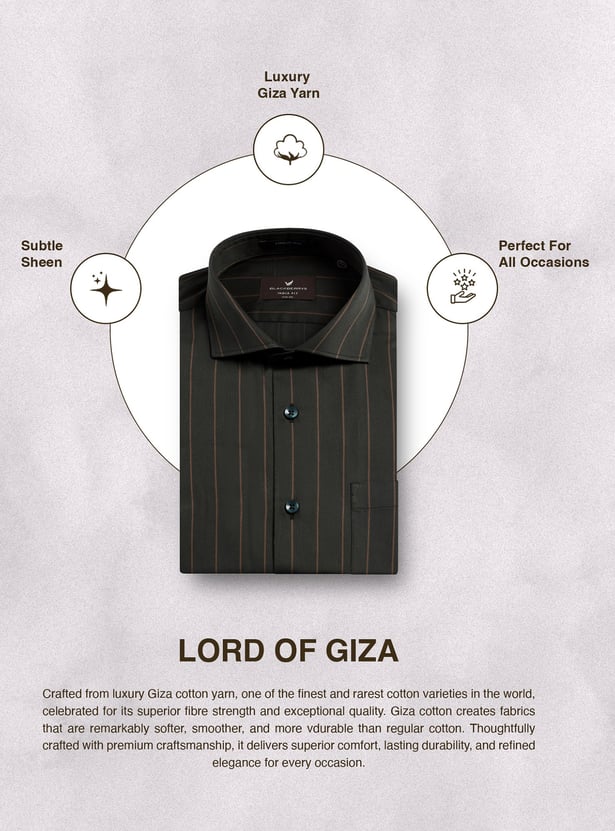 BLACKBERRYS Striped Slim Fit Formal Shirt