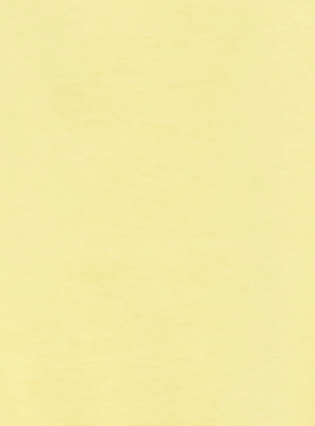 Women Printed Shorts Set - Pack of 2