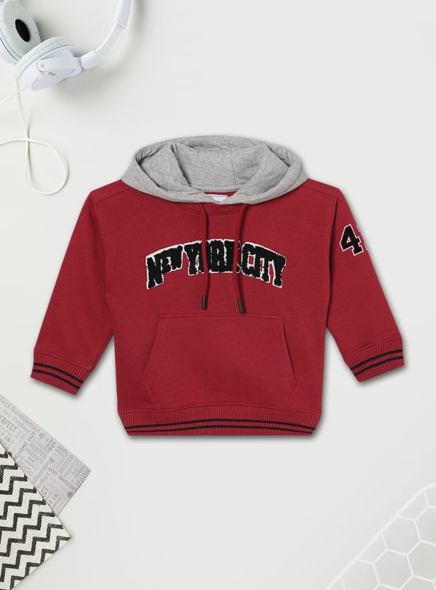 Boys Applique Hoodie - Pack of 2