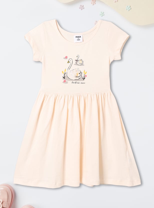Girls Mesh Applique Dresses - Pack of 2