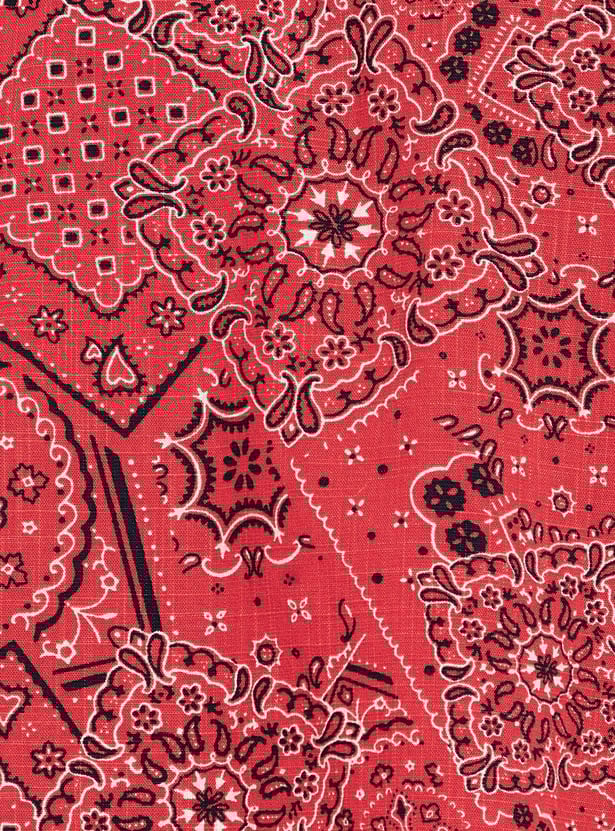 URB_N Men Relaxed Fit Bandana Print Shirt