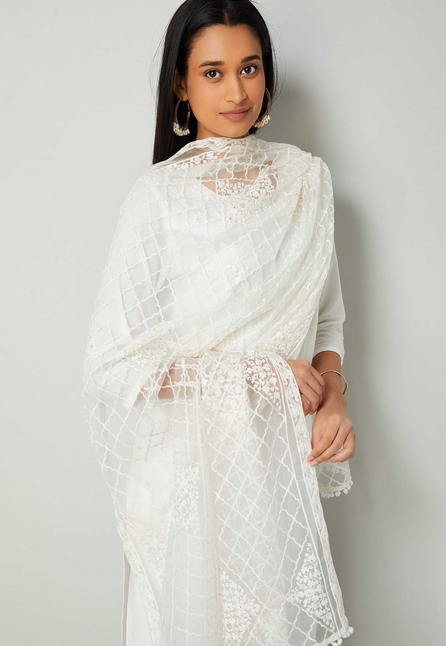 MELANGE Embroidered Mesh Dupatta-picture-13