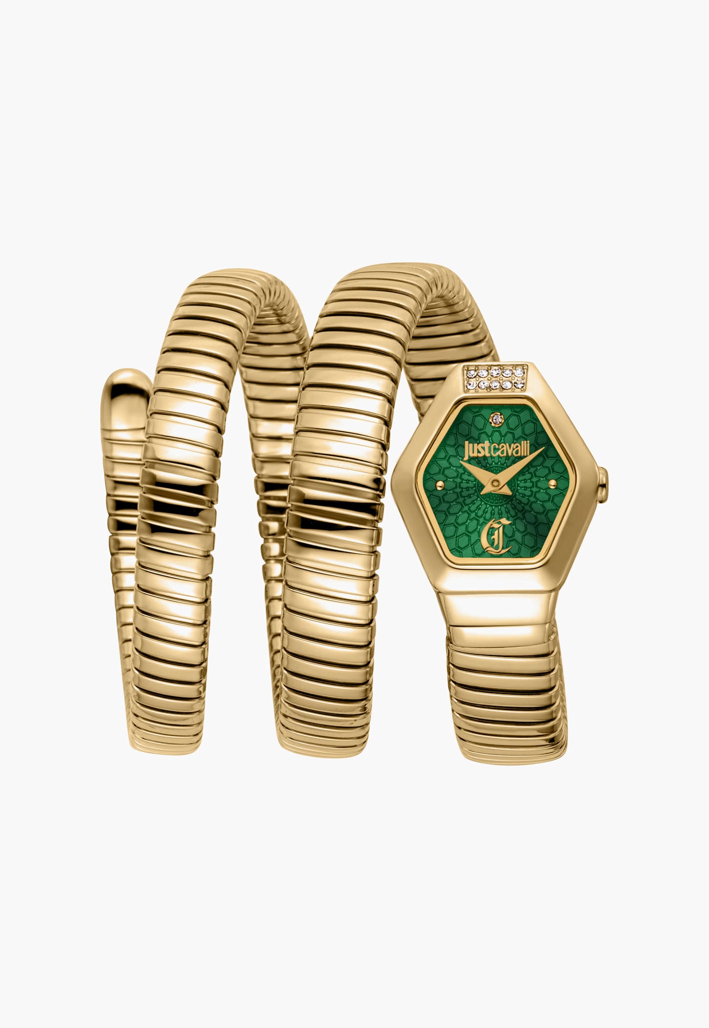 JUST CAVALLI Romina Quartz Analog Wrist Watch-JC1L395M0035